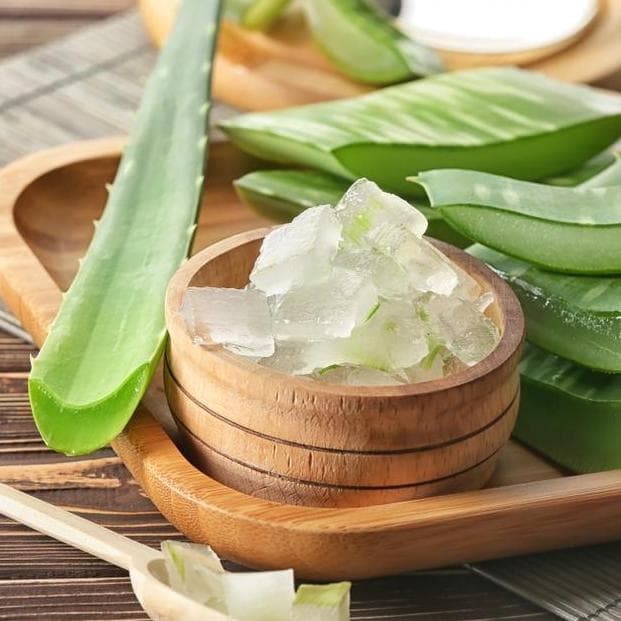 huile aloe vera